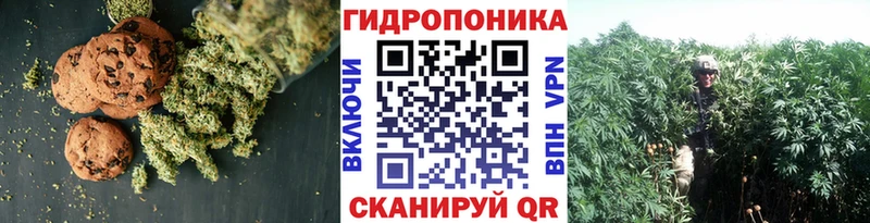 Купить где  Сокол  Печенье с ТГК марихуана 